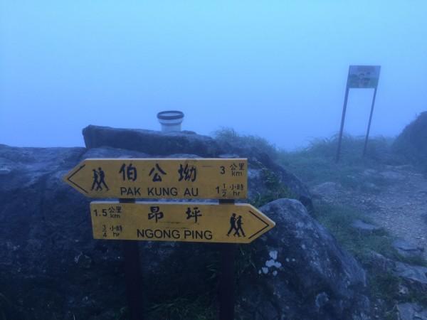 逃出昏暗的地下室
