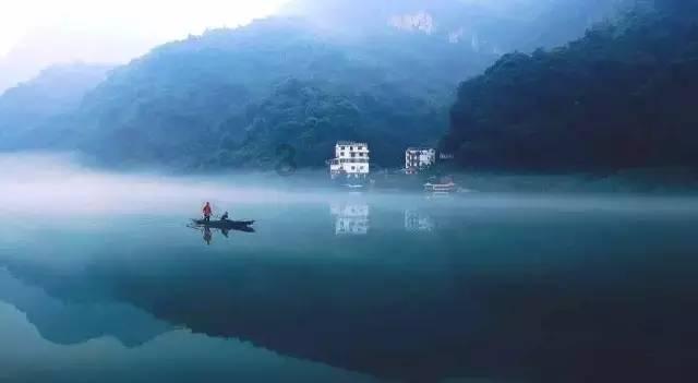 昌江叉河镇：地瓜遇上木棉花 红红火火好“丰”景