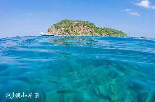 kx车牌号是什么意思游戏画面